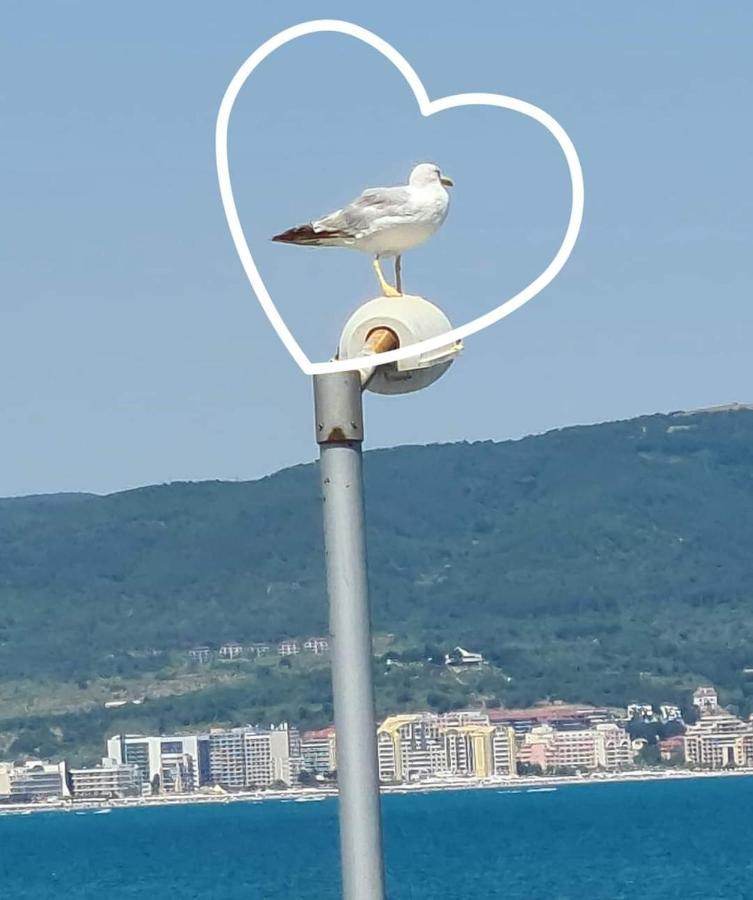 Sea View Private Studio Paradiso B 508 Несебър Екстериор снимка